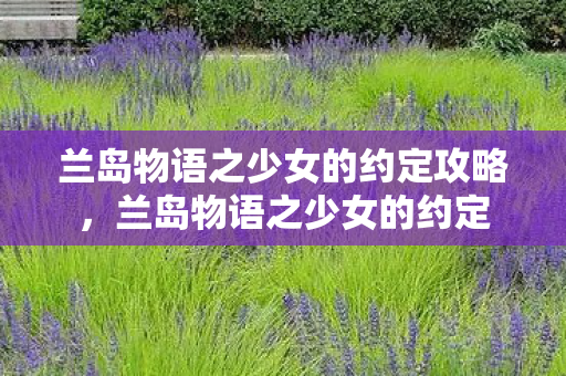 兰岛物语之少女的约定攻略，兰岛物语之少女的约定