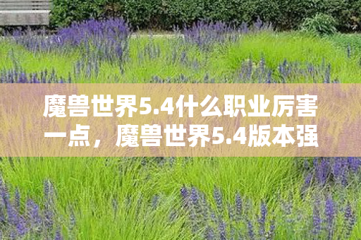 魔兽世界5.4什么职业厉害一点，魔兽世界5.4版本强势职业推荐