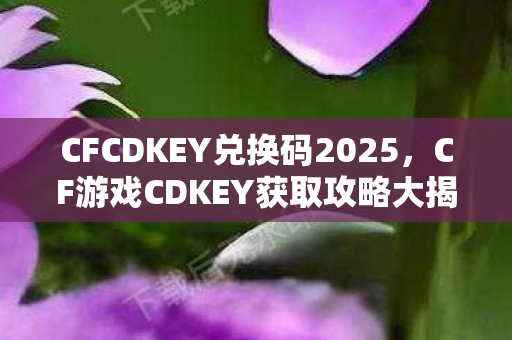 CFCDKEY兑换码2025，CF游戏CDKEY获取攻略大揭秘
