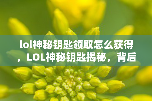 lol神秘钥匙领取怎么获得，LOL神秘钥匙揭秘，背后的故事与无尽魅力