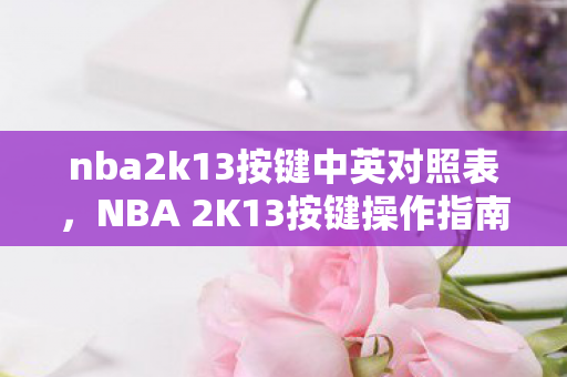 nba2k13按键中英对照表，NBA 2K13按键操作指南