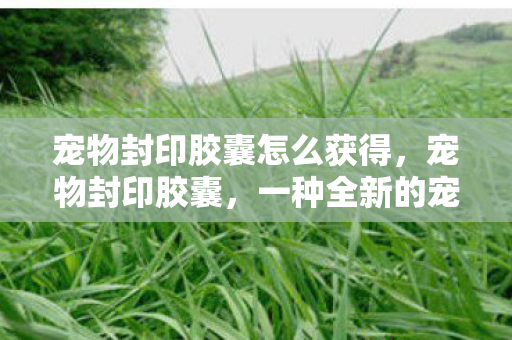 宠物封印胶囊怎么获得，宠物封印胶囊，一种全新的宠物出行方式