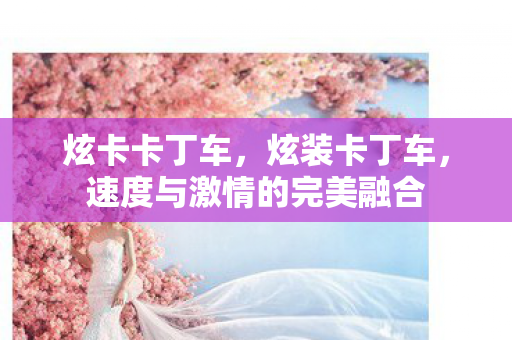 炫卡卡丁车，炫装卡丁车，速度与激情的完美融合