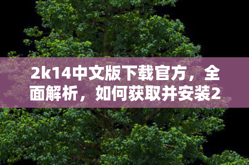 2k14中文版下载官方，全面解析，如何获取并安装2K14中文版游戏下载