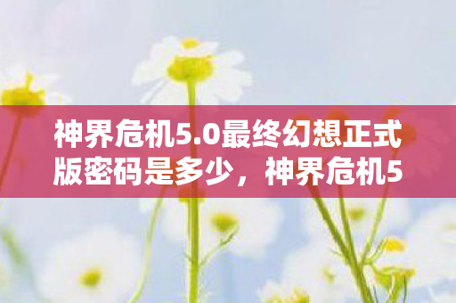 神界危机5.0最终幻想正式版密码是多少，神界危机5.0最终幻想正式版密码揭秘与游戏深度解析