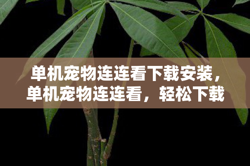 单机宠物连连看下载安装，单机宠物连连看，轻松下载体验经典游戏