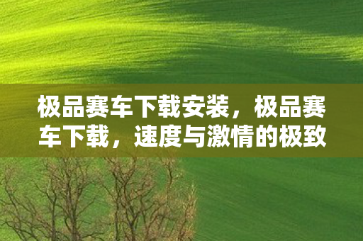极品赛车下载安装，极品赛车下载，速度与激情的极致体验