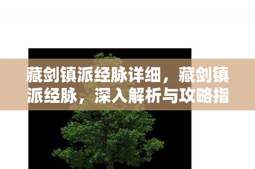 藏剑镇派经脉详细，藏剑镇派经脉，深入解析与攻略指南