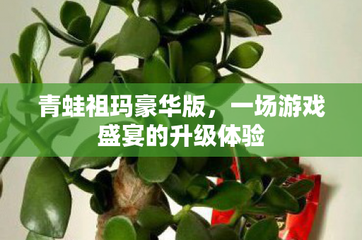 青蛙祖玛豪华版，一场游戏盛宴的升级体验