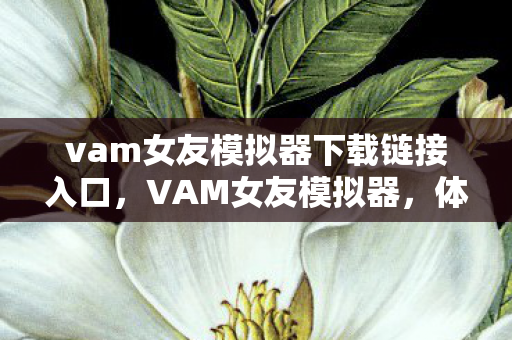 vam女友模拟器下载链接入口，VAM女友模拟器，体验独特的恋爱养成游戏