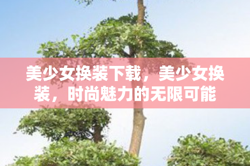 美少女换装下载，美少女换装，时尚魅力的无限可能