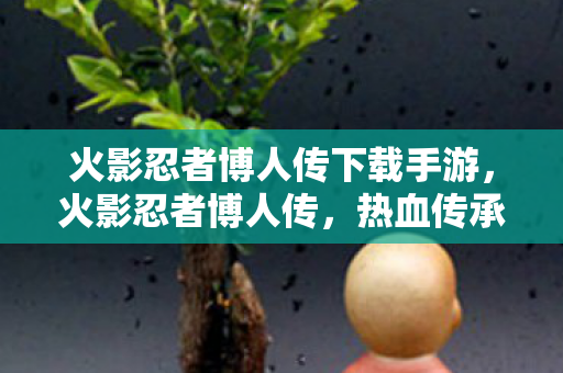 火影忍者博人传下载手游，火影忍者博人传，热血传承的下载之旅