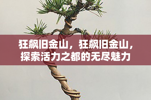 狂飙旧金山，狂飙旧金山，探索活力之都的无尽魅力