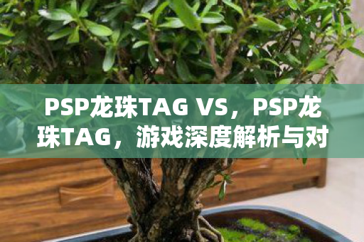 PSP龙珠TAG VS，PSP龙珠TAG，游戏深度解析与对比