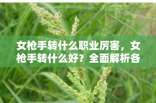 女枪手转什么职业厉害，女枪手转什么好？全面解析各职业特色与未来发展前景