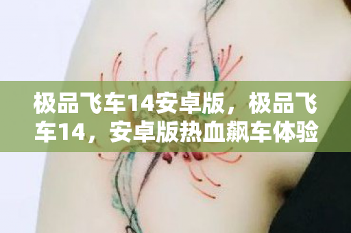 极品飞车14安卓版，极品飞车14，安卓版热血飙车体验