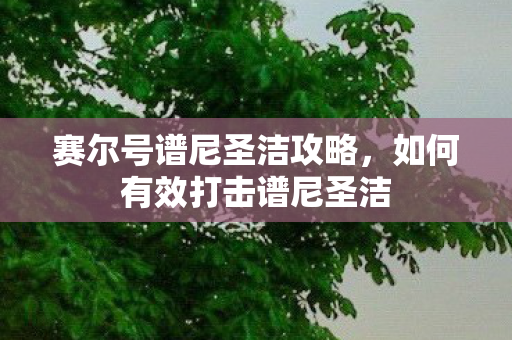 赛尔号谱尼圣洁攻略，如何有效打击谱尼圣洁