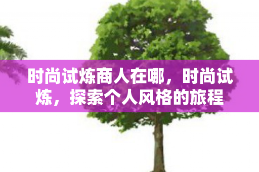 时尚试炼商人在哪，时尚试炼，探索个人风格的旅程