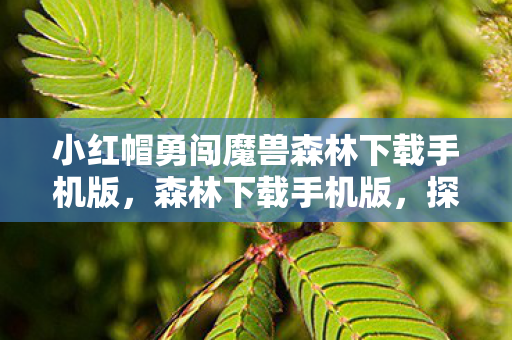 小红帽勇闯魔兽森林下载手机版，森林下载手机版，探索手游新纪元