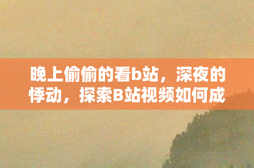 晚上偷偷的看b站，深夜的悸动，探索B站视频如何成为失眠时刻的最佳陪伴