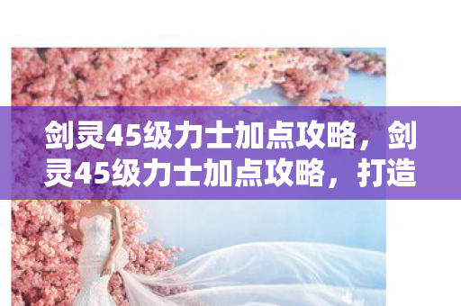 剑灵45级力士加点攻略，剑灵45级力士加点攻略，打造无敌战士，轻松称霸战场！