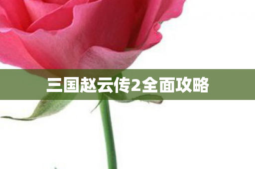 三国赵云传2全面攻略