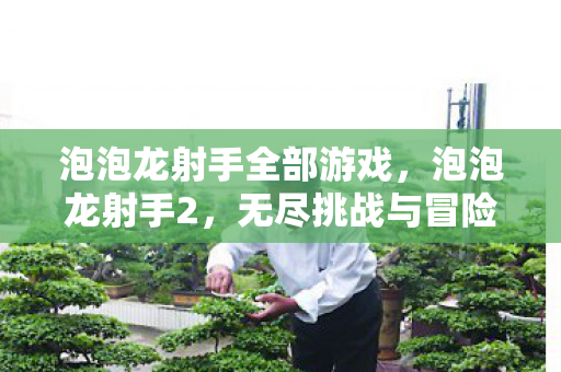 泡泡龙射手全部游戏，泡泡龙射手2，无尽挑战与冒险的新篇章