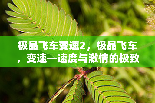 极品飞车变速2，极品飞车，变速—速度与激情的极致体验