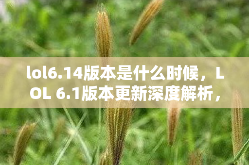 lol6.14版本是什么时候，LOL 6.1版本更新深度解析，新英雄、装备与游戏机制调整引领战场变革