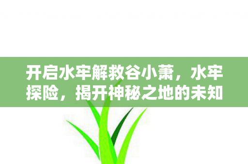 开启水牢解救谷小萧，水牢探险，揭开神秘之地的未知面纱