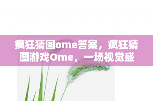 疯狂猜图ome答案，疯狂猜图游戏Ome，一场视觉盛宴与脑力激荡的完美结合