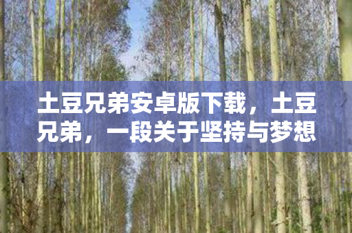 土豆兄弟安卓版下载，土豆兄弟，一段关于坚持与梦想的土豆情缘