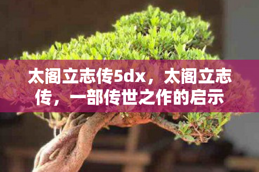 太阁立志传5dx，太阁立志传，一部传世之作的启示