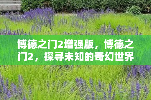 博德之门2增强版，博德之门2，探寻未知的奇幻世界