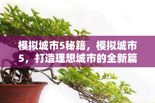 模拟城市5秘籍，模拟城市5，打造理想城市的全新篇章