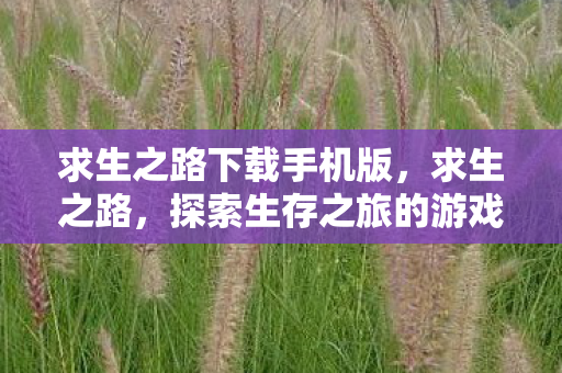 求生之路下载手机版，求生之路，探索生存之旅的游戏下载之旅