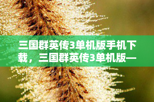 三国群英传3单机版手机下载，三国群英传3单机版—重温经典，策略之战