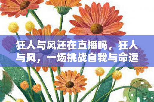 狂人与风还在直播吗，狂人与风，一场挑战自我与命运的旅程