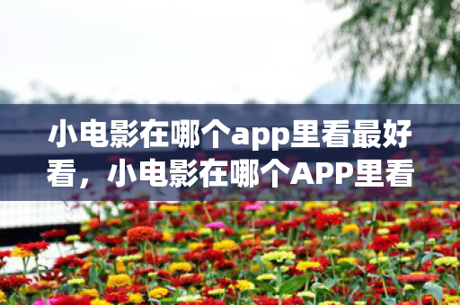小电影在哪个app里看最好看，小电影在哪个APP里看最好？深度解析观影体验与选择策略