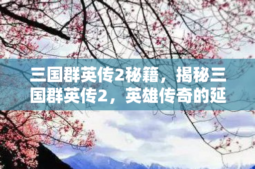 三国群英传2秘籍，揭秘三国群英传2，英雄传奇的延续