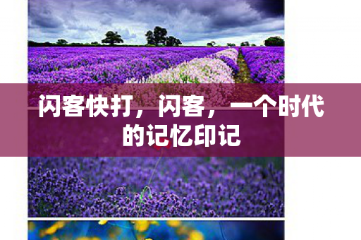 闪客快打，闪客，一个时代的记忆印记