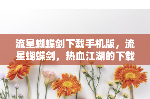 流星蝴蝶剑下载手机版，流星蝴蝶剑，热血江湖的下载之旅