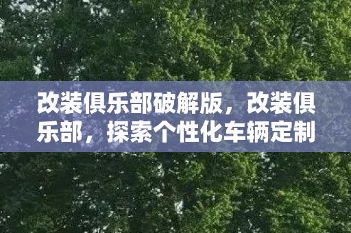 改装俱乐部破解版，改装俱乐部，探索个性化车辆定制的无限可能