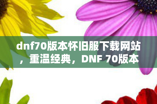 dnf70版本怀旧服下载网站，重温经典，DNF 70版本怀旧服下载全攻略