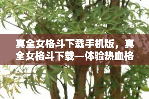 真全女格斗下载手机版，真全女格斗下载—体验热血格斗游戏的世界