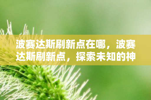 波赛达斯刷新点在哪，波赛达斯刷新点，探索未知的神秘之地