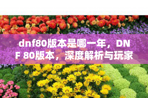 dnf80版本是哪一年，DNF 80版本，深度解析与玩家心得分享