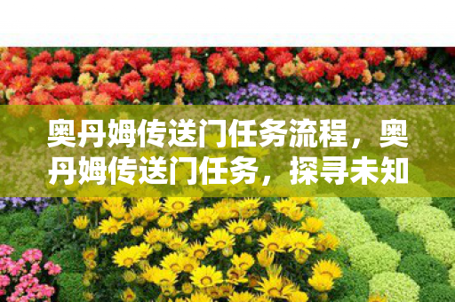 奥丹姆传送门任务流程，奥丹姆传送门任务，探寻未知的神秘之旅