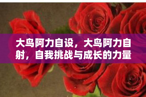 大鸟阿力自设，大鸟阿力自射，自我挑战与成长的力量