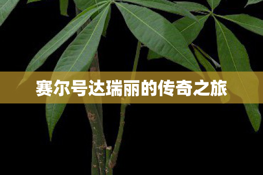 赛尔号达瑞丽的传奇之旅